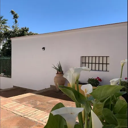 Διαμέρισμα Novedad Centrico Con Porche Y Jardin *