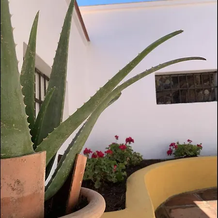 Novedad Centrico Con Porche Y Jardin Apartmán *
