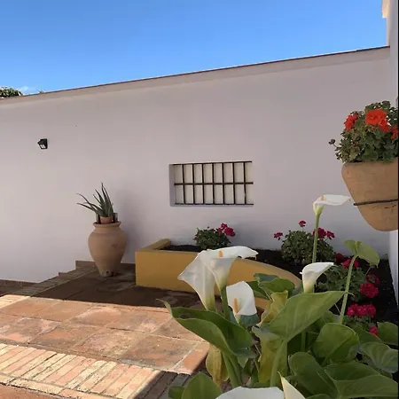 公寓 Novedad Centrico Con Porche Y Jardin