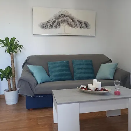 Novedad Centrico Con Porche Y Jardin 公寓 *