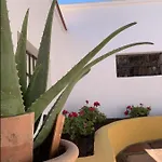 Novedad Centrico Con Porche Y Jardin Apartment *