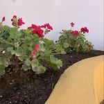 Novedad Centrico Con Porche Y Jardin Apartment Torremolinos