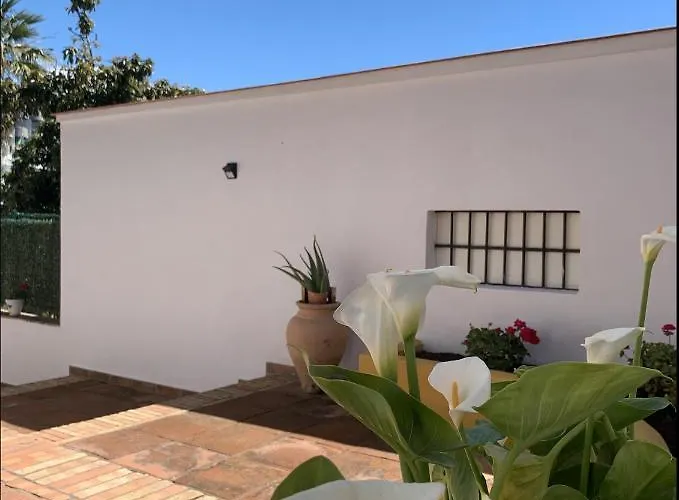 Apartamento Novedad Céntrico Con Porche Y Jardín *