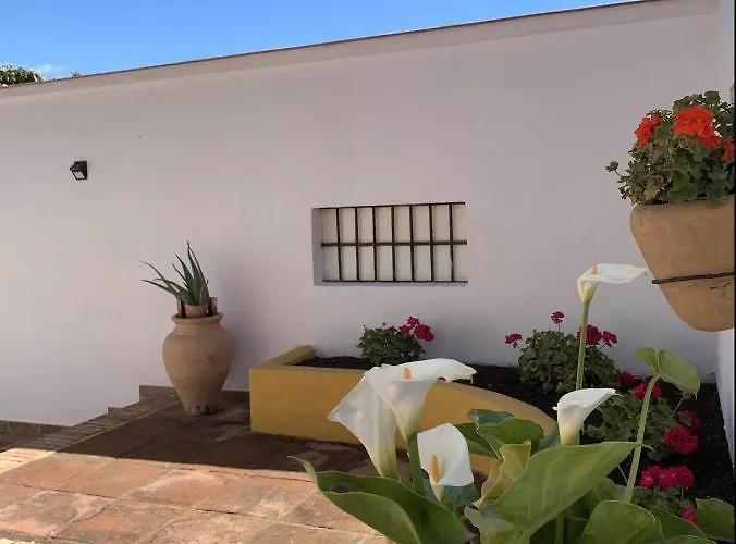 Apartamento Novedad Céntrico Con Porche Y Jardín