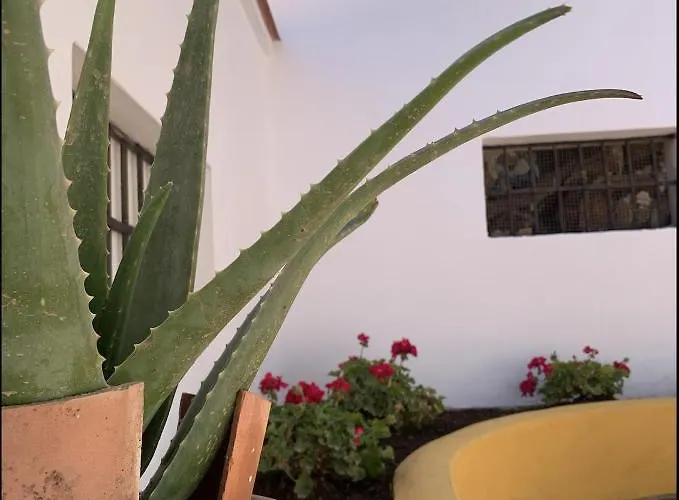 Novedad Centrico Con Porche Y Jardin Daire *