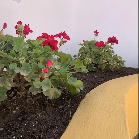 Novedad Céntrico Con Porche Y Jardín Appartement Torremolinos